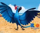 Jewel film güzel bir kadın papağanı Rio olduğunu